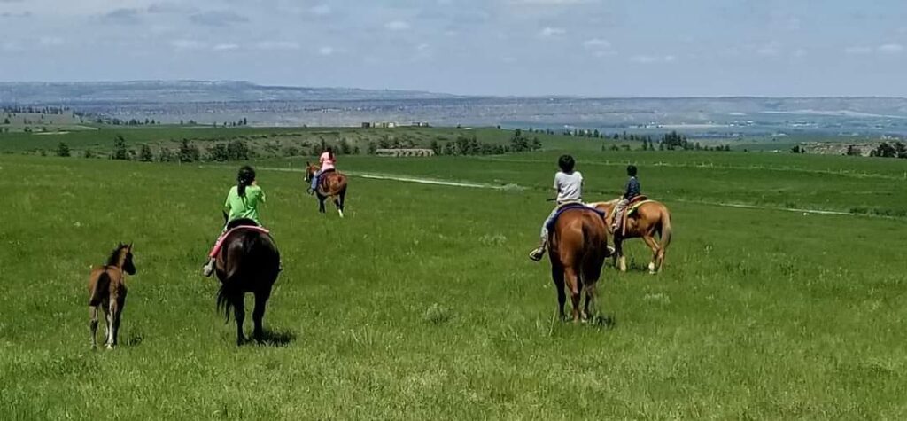 Montana Horseback