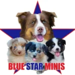 Blue Star Minis